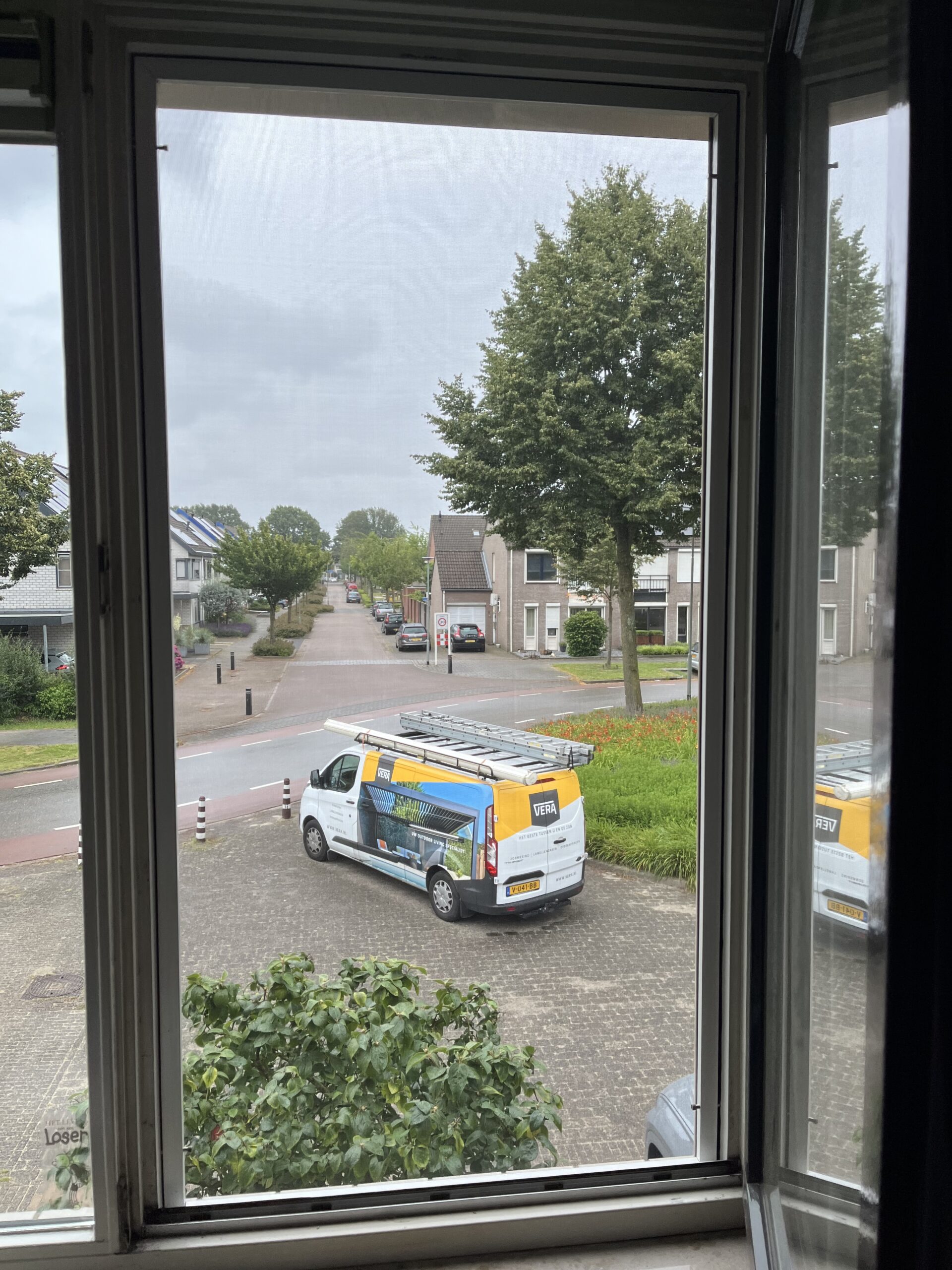 Raamhorren in Venray